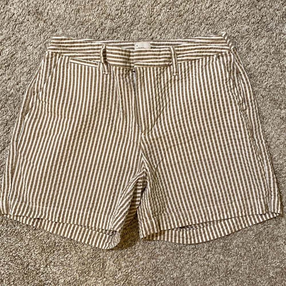 Dressy Shorts